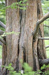 开发商招募格斗游戏经验开发者 《真人快打12》或将启动